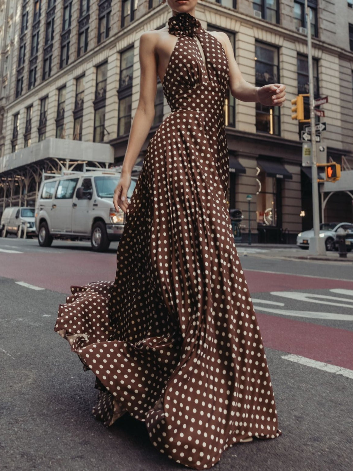 Women's Brown Halter Maxi Dress – Polka Dot 3D Floral Wedding Guest Dress